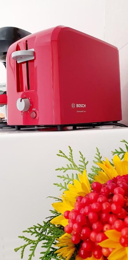 Art Studio Braşov Dış mekan fotoğraf