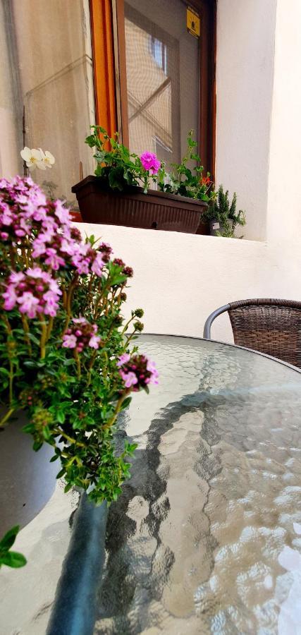 Art Studio Braşov Dış mekan fotoğraf