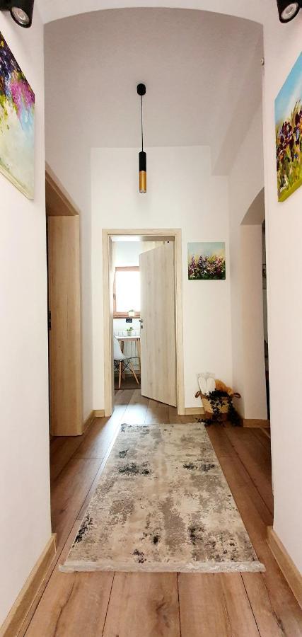 Art Studio Braşov Dış mekan fotoğraf